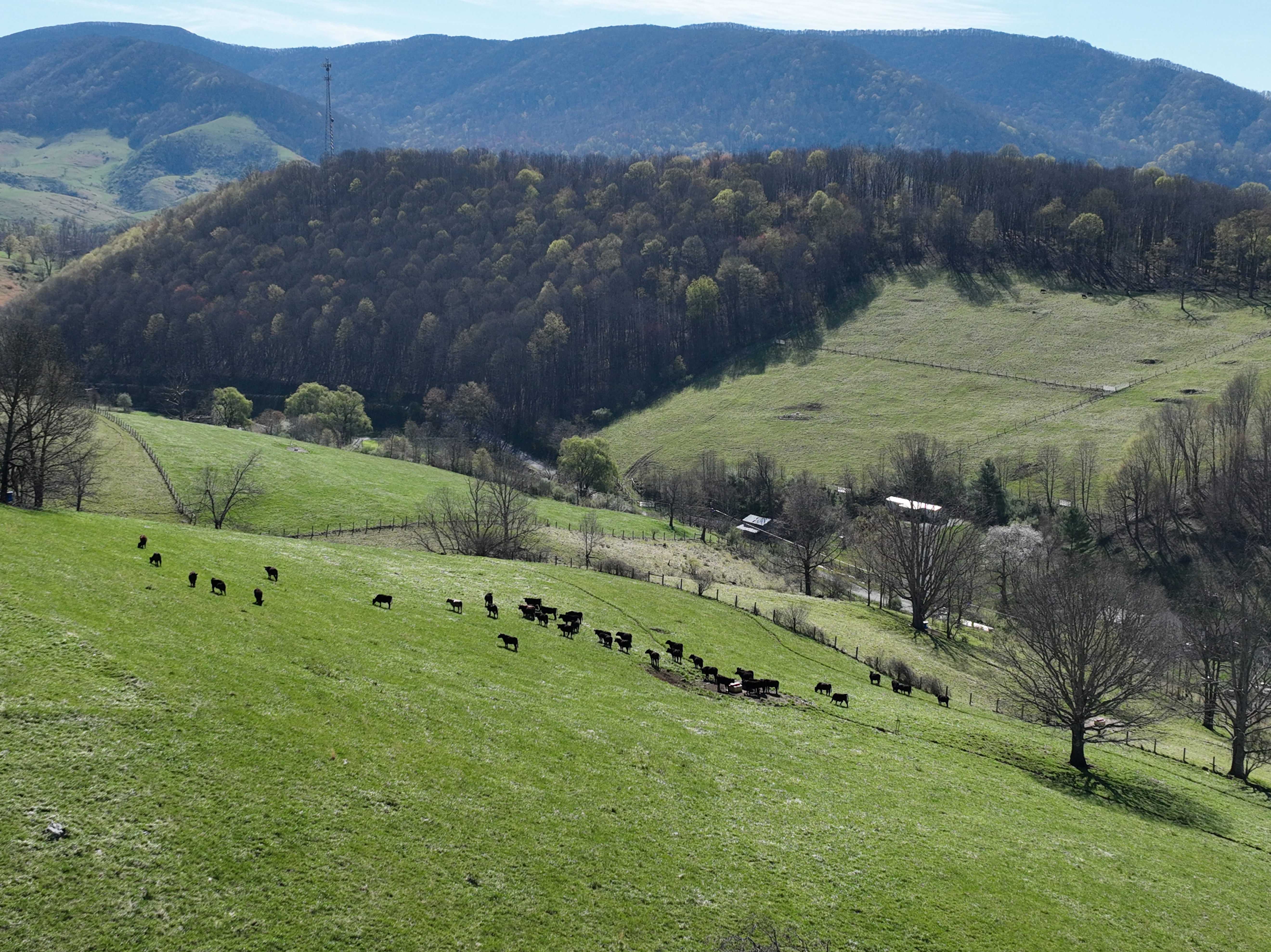pasture