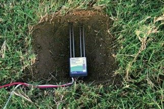 Photo of a soil moisture sensor on the ground.