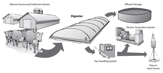 diagram showing components of a biogas digester.