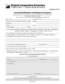 JPG- Insect Identification and Diagnosis Request
