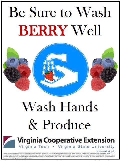 This is a sign with a picture of blackberries, blueberries, raspberries and a circle with hands washing a strawberry under running water with words stating, "Be sure to wash berry well, wash your hands and produce."