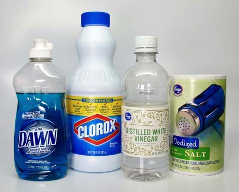 This image shows common household products, such as dish soap, bleach, vinegar, and salt, that are often found in homemade pesticide recipes.