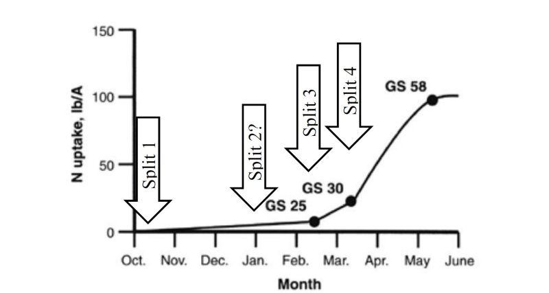 a graph showing the nitrogen uptake with the months in the X asis and the uptake per pounds per acre in y axis.