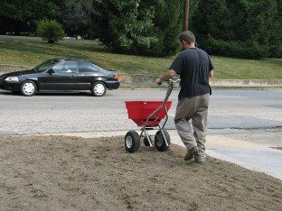A homeowner applies seed with a rotary spreader to a tilled soil.