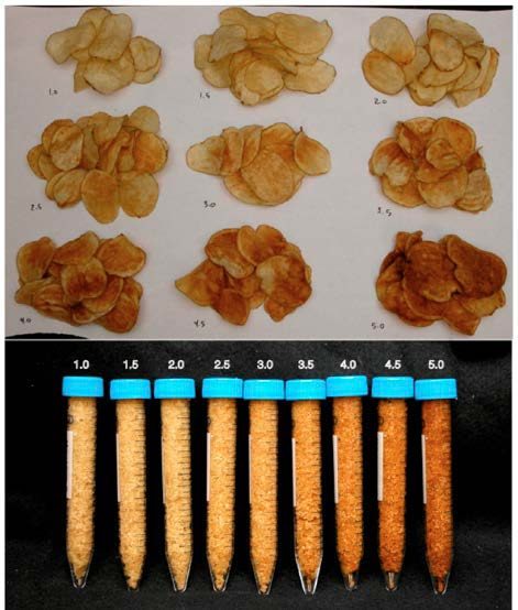 Figure 1. Snack Food Association (SFA) chip color standard. (Wayumba, 2019).
