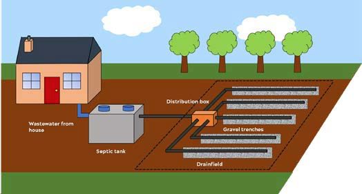 Figure 2. Effluent leaves the septic tank and is distributed through the drainfield via a distribution box. Effluent is treated as it passes through the soil profile.