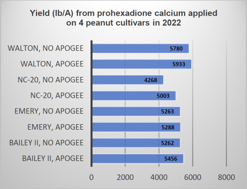 Bar graph depicting the yield of four peanut cultivars as affected by prohexadione calcium applications.