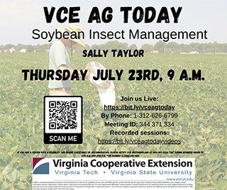 Cover for publication: VCE Ag Today - Soybean Arthropod Pest Management