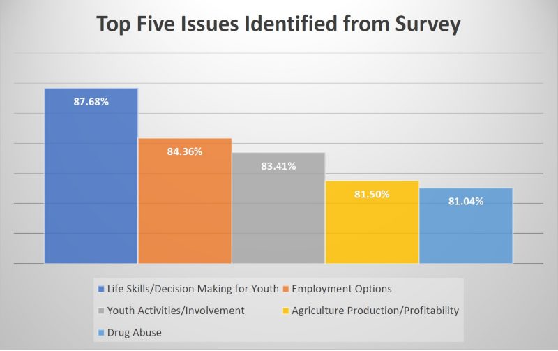 Top Five Issues Identified from survey graph.