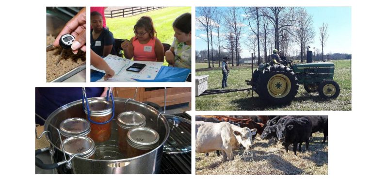 A college of tractors, cattle, youth activities, canning, and more.