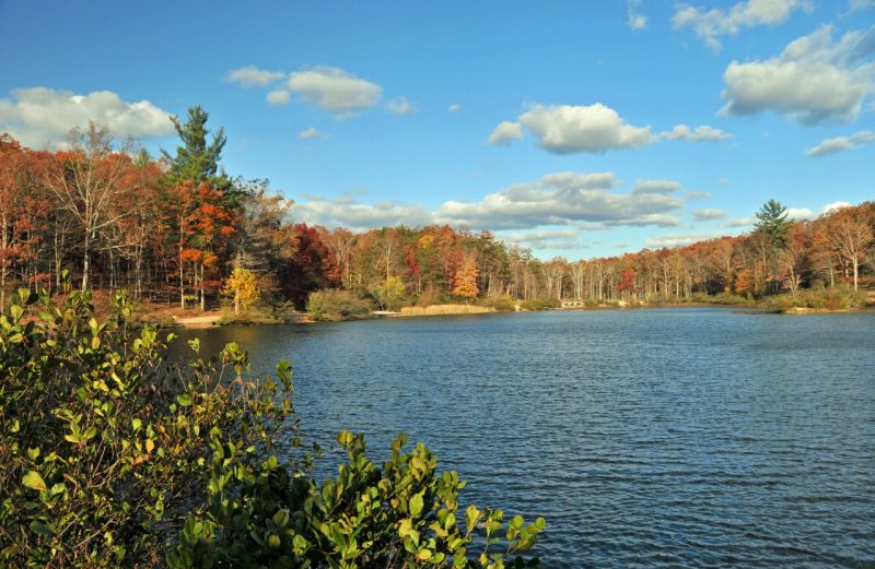 Pandapas Pond