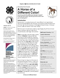JPG, A Horse of a Different Color!