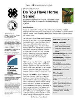 Cover, Do You Have Horse Sense!
