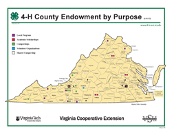 Cover, 4-H County Endowment by Purpose JPG