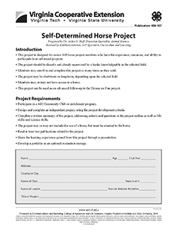 JPG, Self-Determined Horse Project