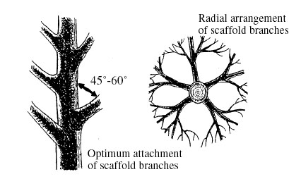 figure2.jpg