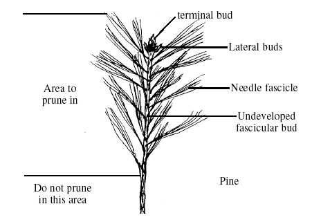 figure3.jpg