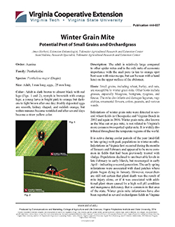 Cover, Winter Grain Mite