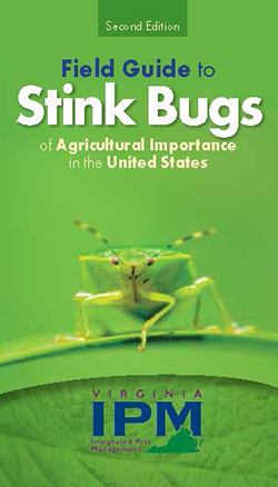 Cover, Field Guide to Stink Bugs