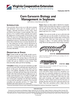 Cover, Corn Earworm Biology and Management in Soybeans