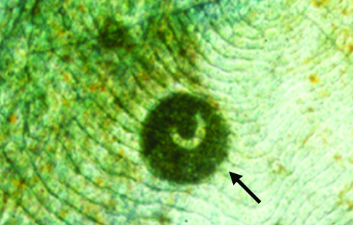Figure 1-080