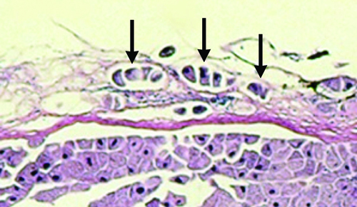 Figure 3-080