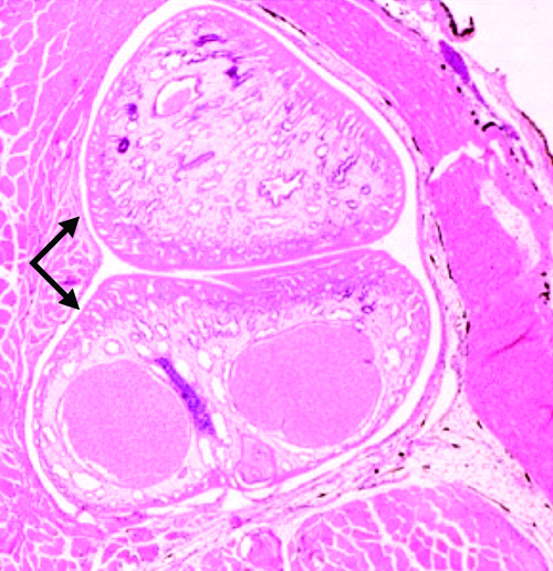 Figure 4-080