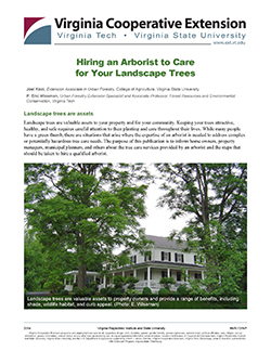 Cover, Hiring an Arborist to Care for Your Landscape Trees