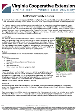 Cover, Fall Panicum Toxicity In Horses
