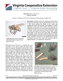 cover house fly