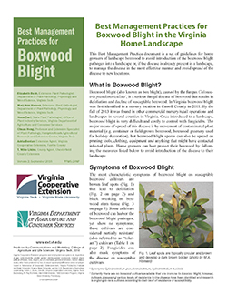 Cover, Best Management Practices for Boxwood Blight in the Virginia Home Landscape: Version 2, January 2015