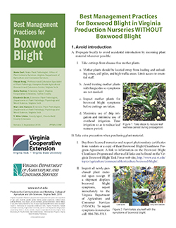 Cover, Best Management Practices for Boxwood Blight: Best management practices for boxwood blight in Virginia production nurseries WITHOUT boxwood blight