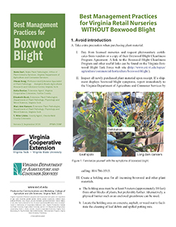 Cover, Best Management Practices for Boxwood Blight: Best management practices for Virginia retail nurseries WITHOUT boxwood blight