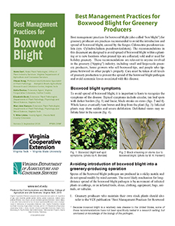 Cover, Best Management Practices for Boxwood Blight for Greenery Producers
