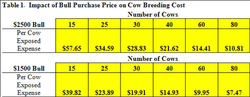 Impact of Bull Purchase Price on Cow Breeding Cost