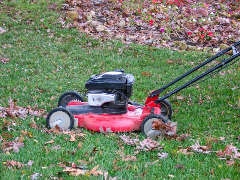 A red lawnmower sits on a green grassy lawn with brown leaves scattered around.