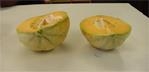 A mellon cut in half with a green rind and orange inside