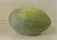 Green melon