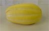Yellow melon with white rinds