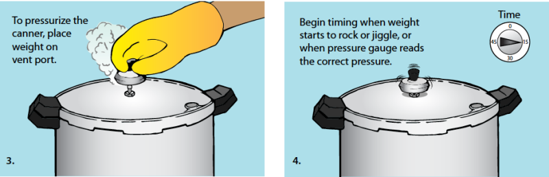 Illustration of step by step pressure canning. Step 3. To pressurize the canner, place weight on vent port. Step 4.  Begin timing when weight starts to rock or jiggle, or when pressure gauge reads the correct pressure.
