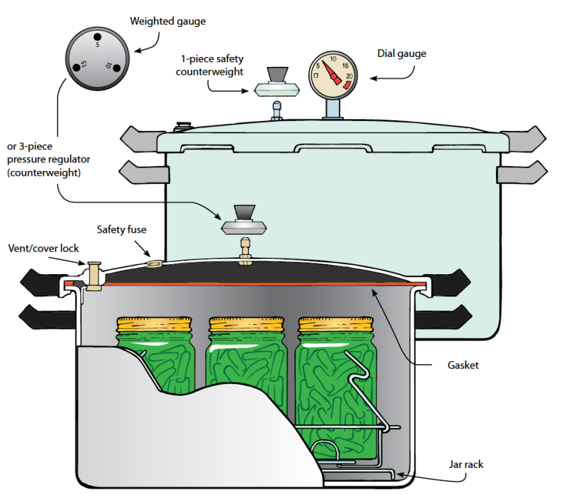 Diagram showing features of dial-gauge and weighted-gauge pressure canners