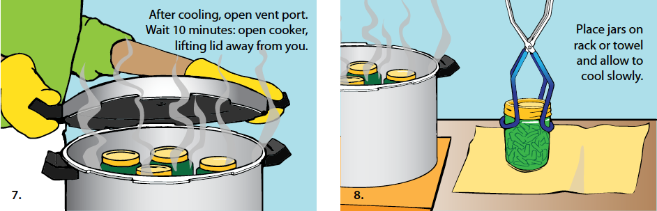 Illustrations of step by step pressure canning. Step7. After cooling, open vent port. Wait 10 minutes: open cooker, lifting lid away from you. Step 8. Place jars on rack or towel and allow to cool slowly.