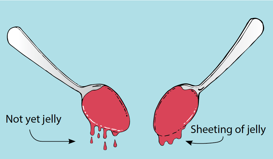 A illustration showing jelly dripping from a spoon and jelly sheeting a spoon.