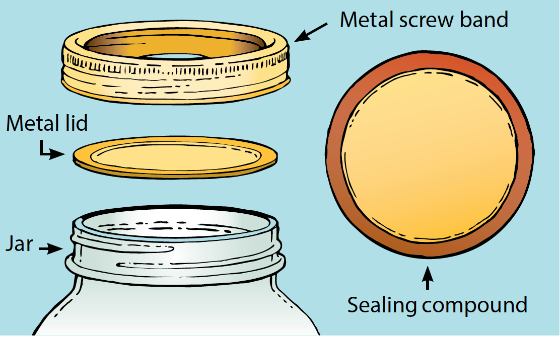 A diagram of a jar, lid and metal screw band