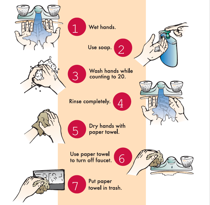 Illustrations showing steps to wash hands. 1.Wet hands. 2.Use soap. 3.Wash hands while counting to 20. 4.Rinse completely. 5.Dry hands with paper towel. 6.Use paper towel to turn off faucet. 7.Put paper towel in trash.