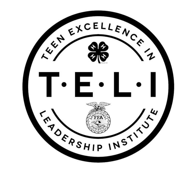 Teen excellence in leadership institute logo