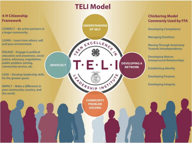 Graphic representation of the TELI Model.