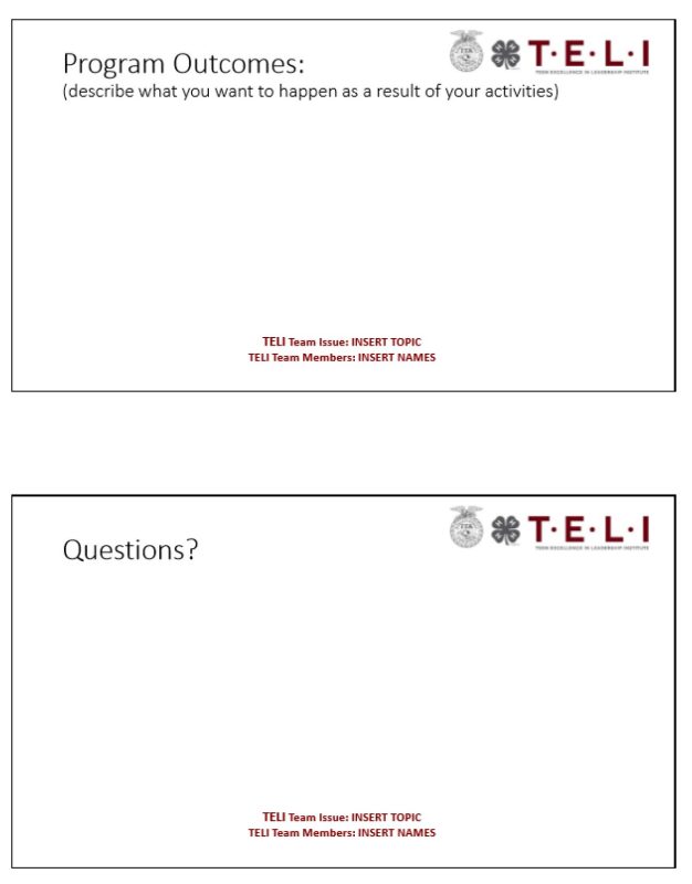 TELI Group Project PowerPoint Outline 3