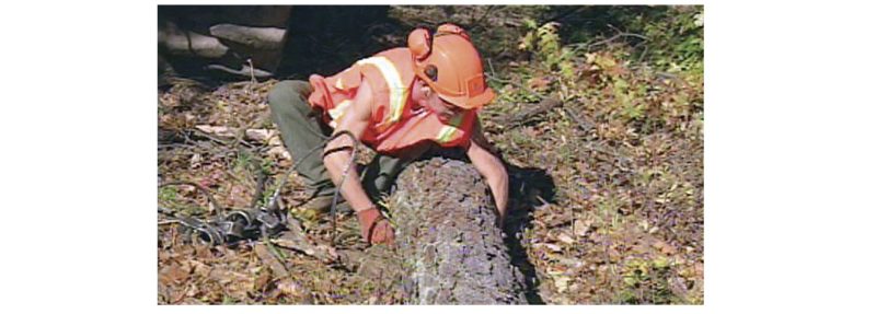 a photo of a person setting chokers on a log
