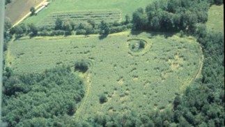 The photo shows an aerial view of a cornfield surrounded by forest, with trampled areas visible in the cornfield.
